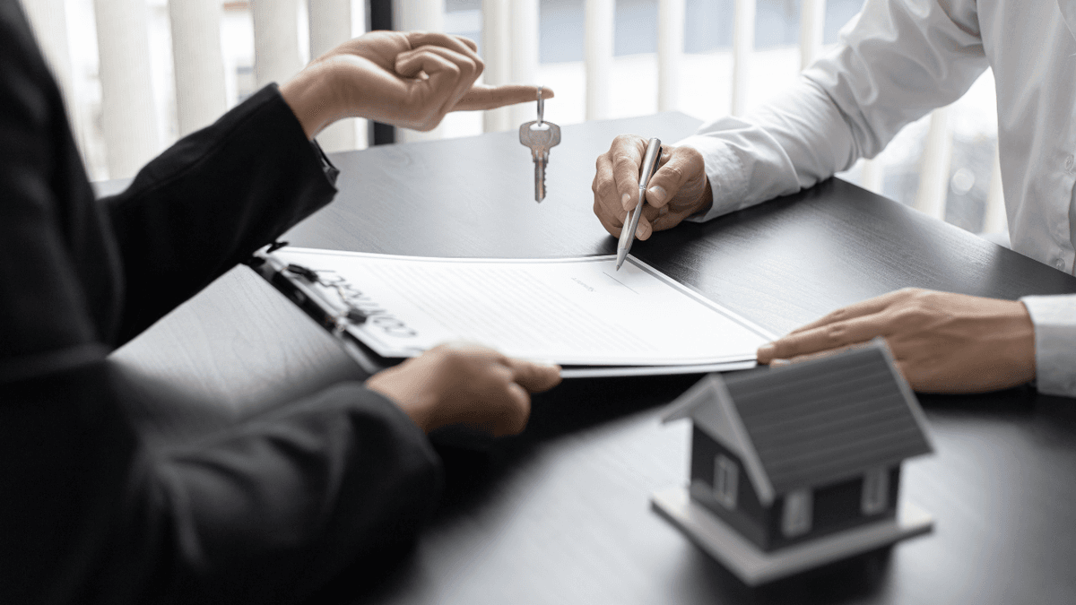 Morbi Connects Platform